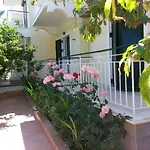 Elenas Garden * カボス