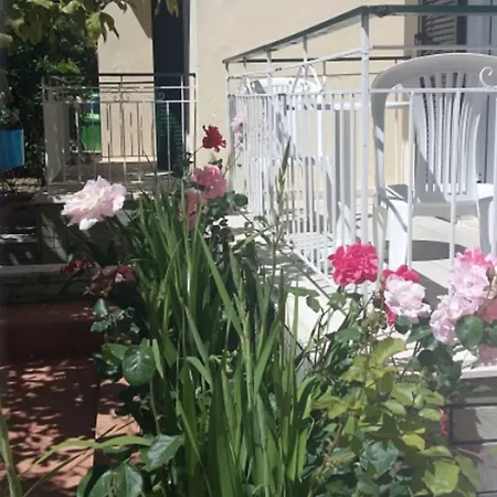 Elenas Garden 卡沃斯