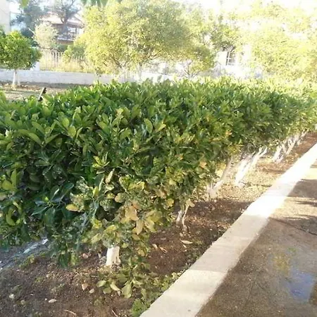 Apartmán Elenas Garden *