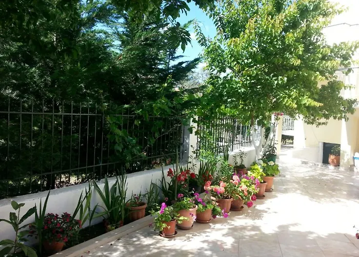 Elenas Garden * Kávos