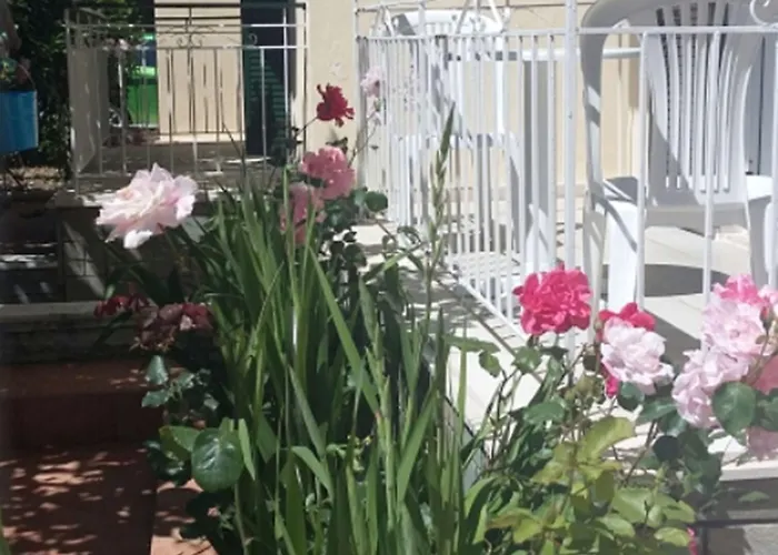 Elenas Garden Kávos