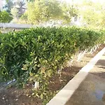Apartament Elenas Garden *