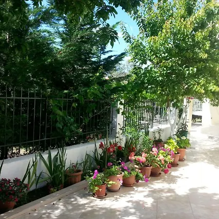 Elenas Garden * Kávos