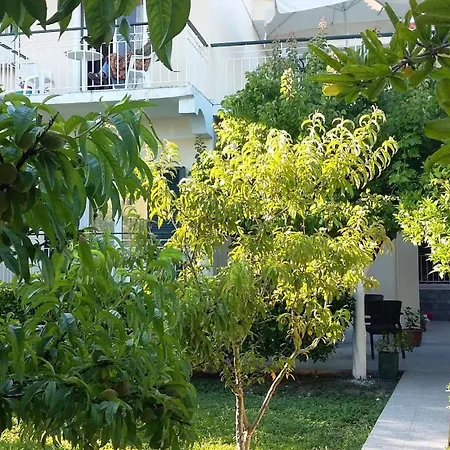 Apartment Elenas Garden Kavos