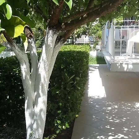 Elenas Garden *